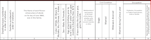 1880 US Census Header